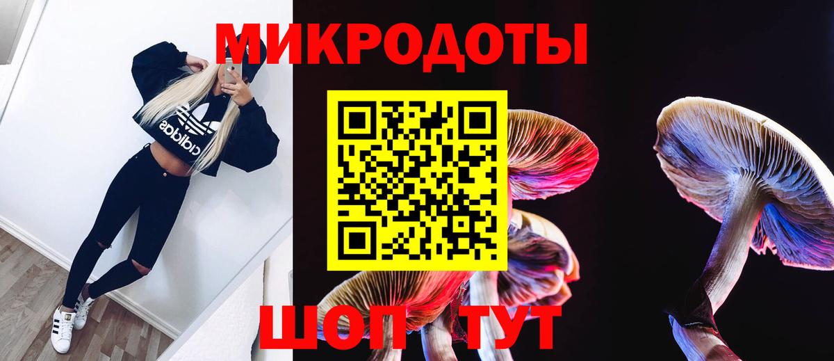 Псилоцибиновые грибы GOLDEN TEACHER Ишим